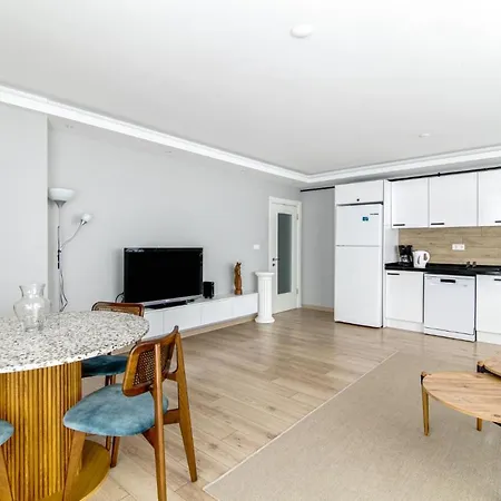 And Tastefully Designed Flat In Besiktas شقة